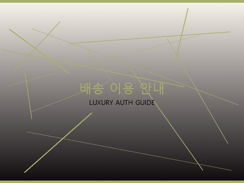 디올 레이디 루네타 체인 스몰 레플리카 사이트 배송 이용 안내