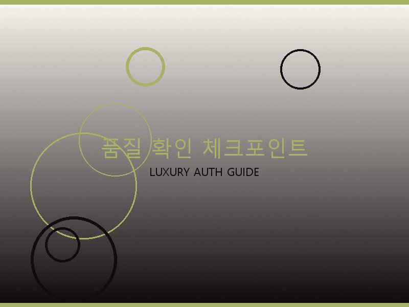 디올 레이디 루네타 체인 스몰 레플리카 사이트 품질 확인 체크포인트